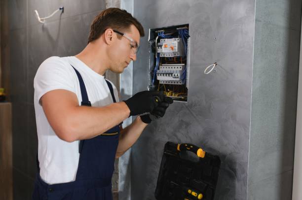 Best Ceiling Fan Installation Electrician  in Lyons, WI