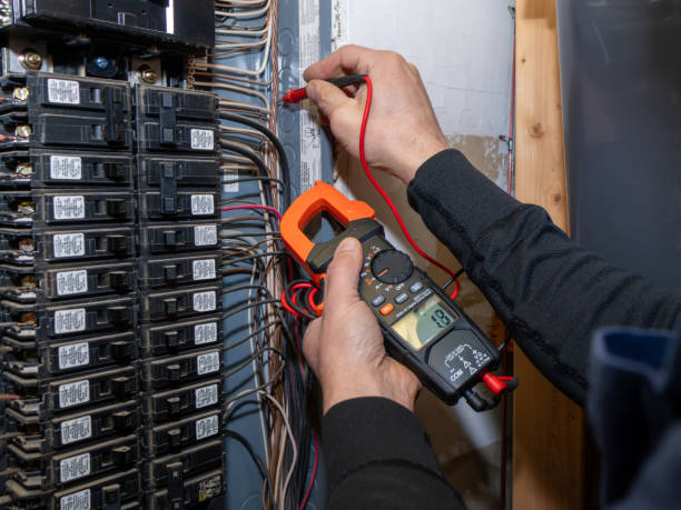 Best Electrical Repair Services  in Lyons, WI